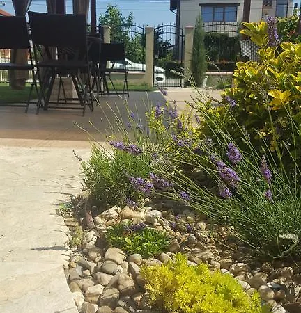 Casa Daren 3*